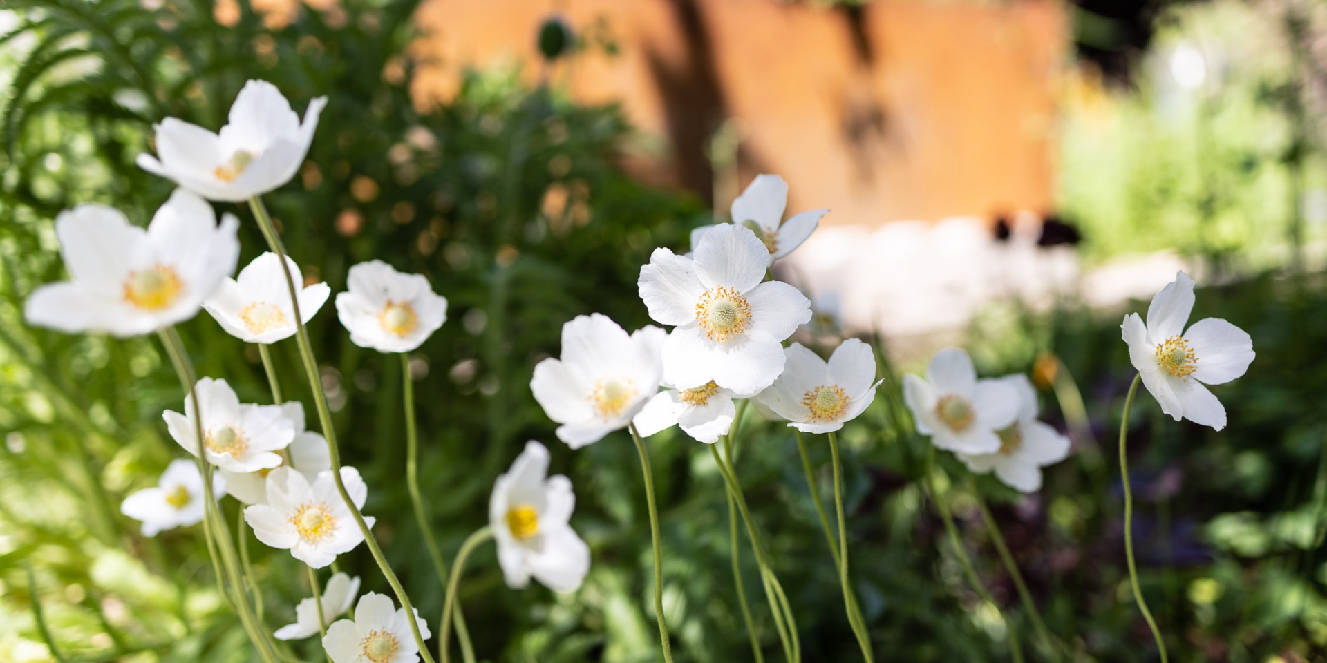 Dekobild mit Frühlingsblumen
