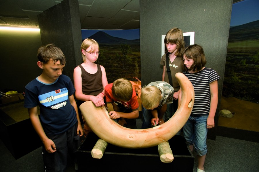 Kinder Museum Sehenswürdigkeiten Steinheim