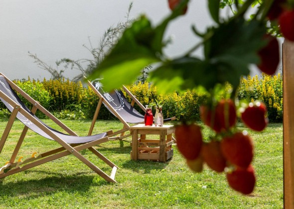 Garten sKreuz Steinheim