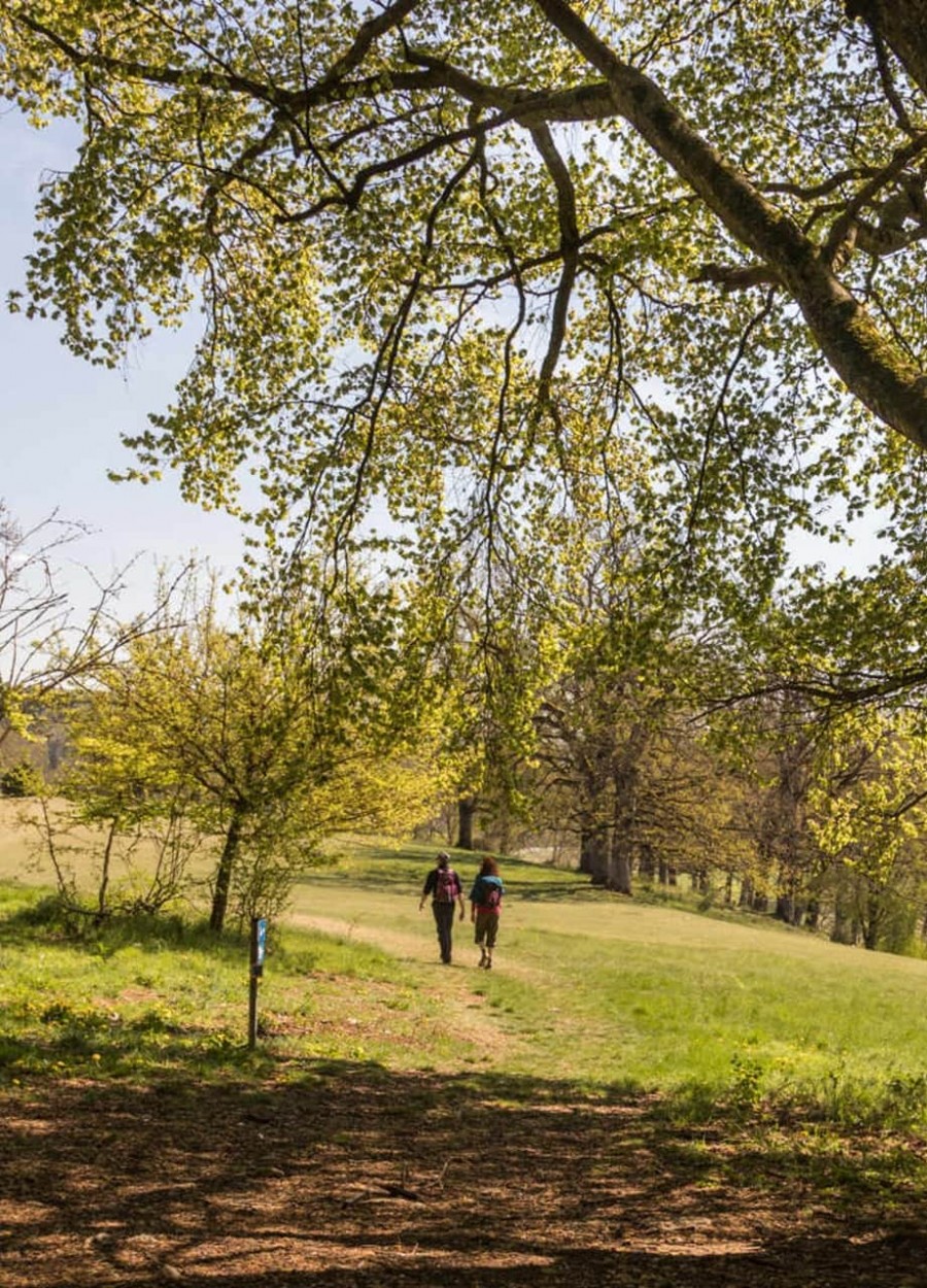 Meterorkraterweg Wandern Schwäbische Alb