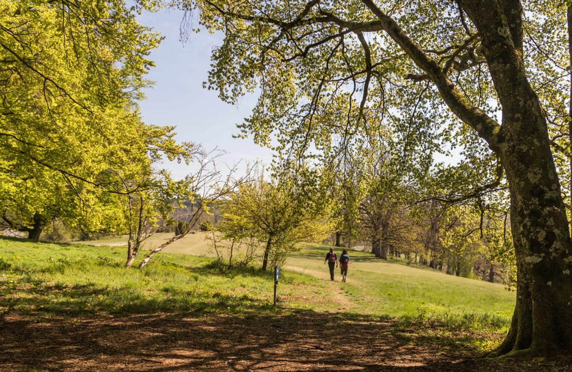 Meterorkraterweg Wandern Schwäbische Alb