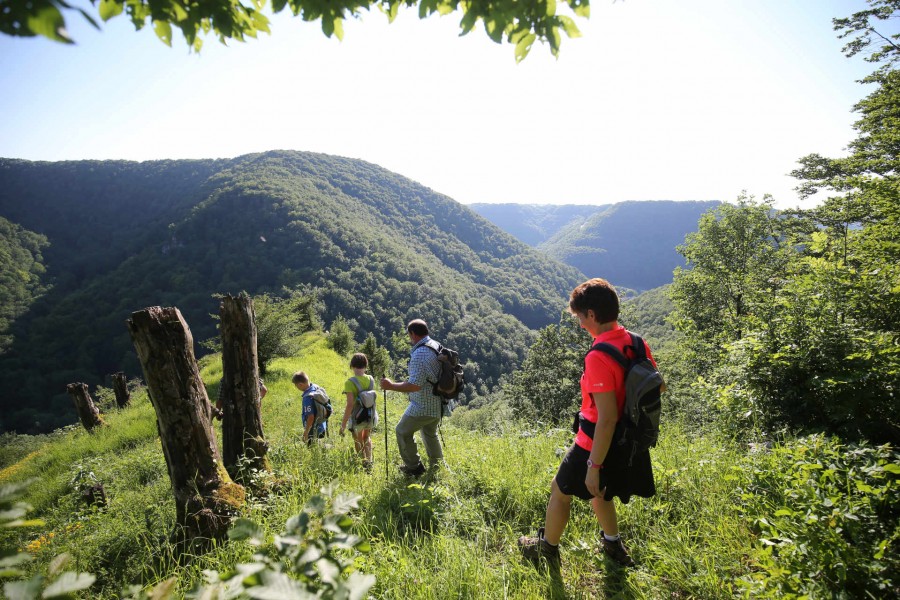 Wandern Steinheim