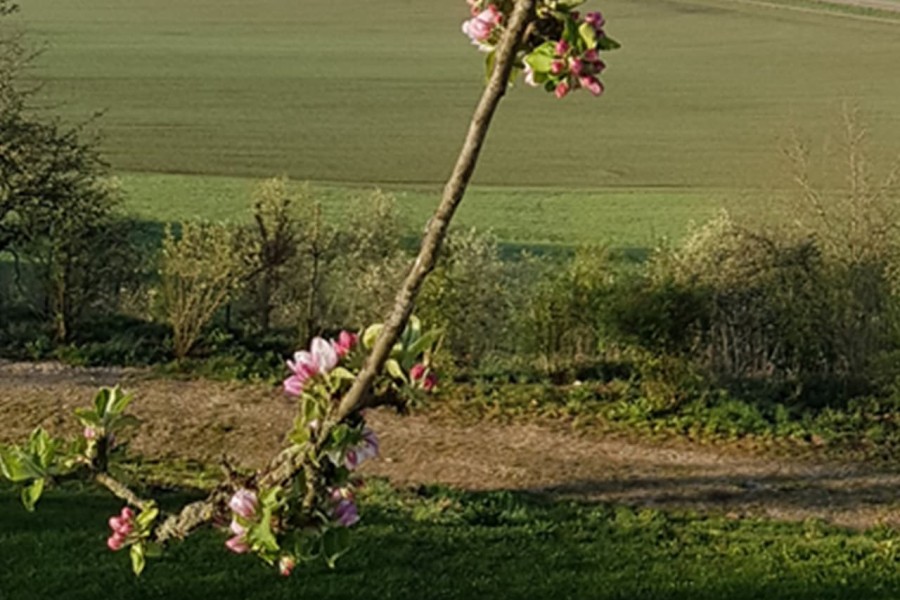 sKreuz Steinheim Umgebung Schwäbische Alb 